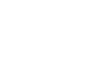 The Oldham Group owl logo